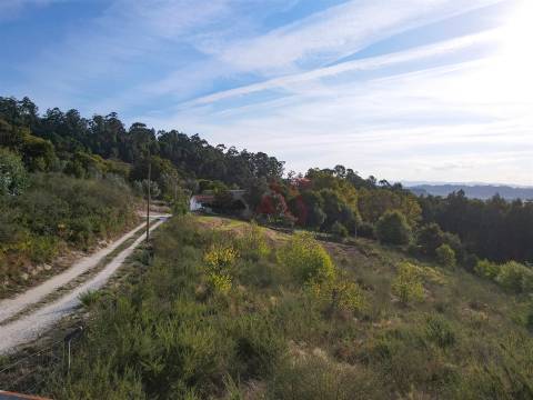 Terreno Rústico com 8.250 m² em Travanca, Amarante