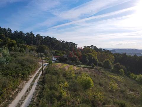 Terreno Rústico com 8.250 m² em Travanca, Amarante