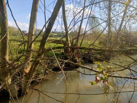 Terrenos Rústicos com 13.759 m² em Nevogilde, Lousada