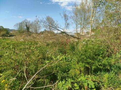 Terrenos Rústicos com 13.759 m² em Nevogilde, Lousada