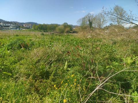 Terrenos Rústicos com 13.759 m² em Nevogilde, Lousada