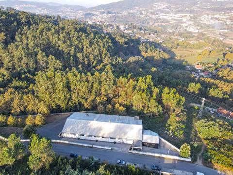 Armazém industrial com 2.000 m² em Vila Fria, Felgueiras