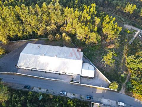 Armazém industrial com 2.000 m² em Vila Fria, Felgueiras