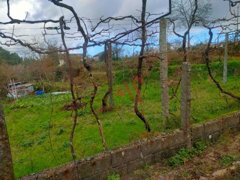 Terreno para construção com 1.960 m² em Regadas, Fafe