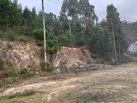 Terreno rústico com 4.884 m² em Santa Eulália, Vizela