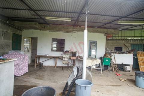 Moradia T3 para Restauro em Conde, Guimarães