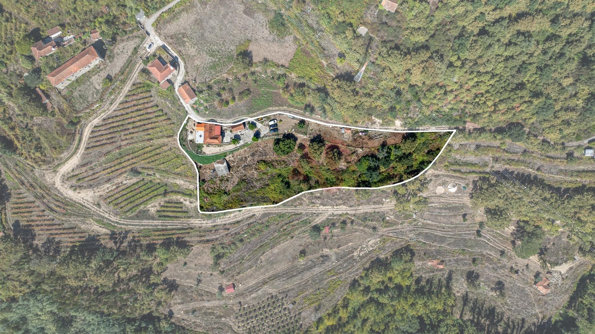 Quinta T3 em Souselo, Cinfães – Charme, Natureza e Tranquilidade!