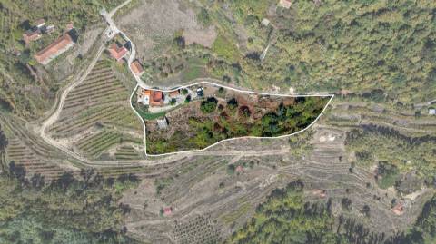 Quinta T3 em Souselo, Cinfães – Charme, Natureza e Tranquilidade!