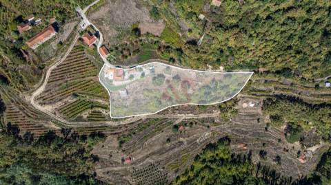 Quinta T3 em Souselo, Cinfães – Charme, Natureza e Tranquilidade!