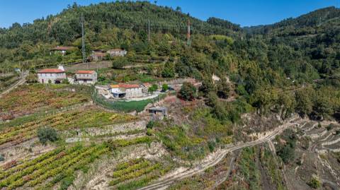 Quinta T3 em Souselo, Cinfães – Charme, Natureza e Tranquilidade!