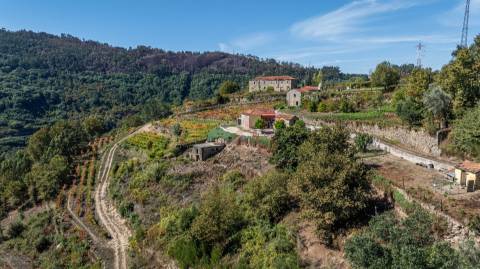 Quinta T3 em Souselo, Cinfães – Charme, Natureza e Tranquilidade!