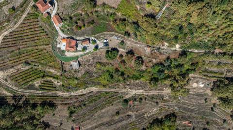 Quinta T3 em Souselo, Cinfães – Charme, Natureza e Tranquilidade!