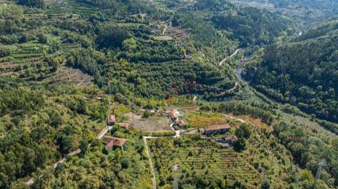 Quinta T3 em Souselo, Cinfães – Charme, Natureza e Tranquilidade!