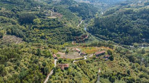 Quinta T3 em Souselo, Cinfães – Charme, Natureza e Tranquilidade!