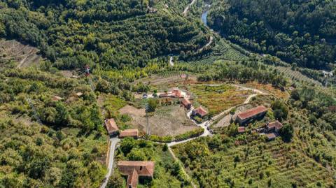 Quinta T3 em Souselo, Cinfães – Charme, Natureza e Tranquilidade!