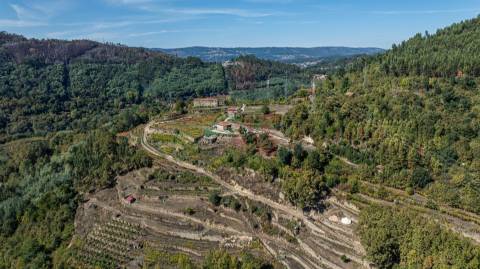 Quinta T3 em Souselo, Cinfães – Charme, Natureza e Tranquilidade!