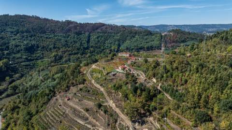 Quinta T3 em Souselo, Cinfães – Charme, Natureza e Tranquilidade!