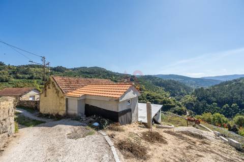 Quinta T3 em Souselo, Cinfães – Charme, Natureza e Tranquilidade!