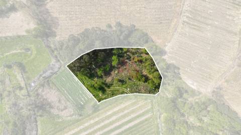 Terreno com 3.300 m² em Pedreira, Rande e Sernande, Felgueiras