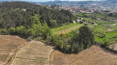Terreno com 3.300 m² em Pedreira, Rande e Sernande, Felgueiras