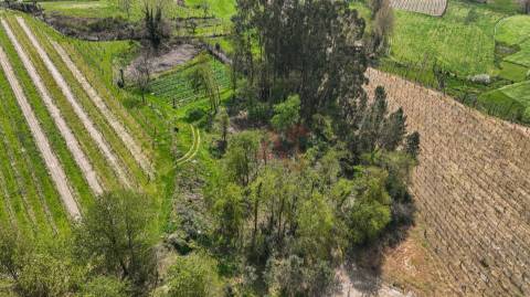 Terreno com 3.300 m² em Pedreira, Rande e Sernande, Felgueiras