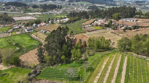Terreno com 3.300 m² em Pedreira, Rande e Sernande, Felgueiras