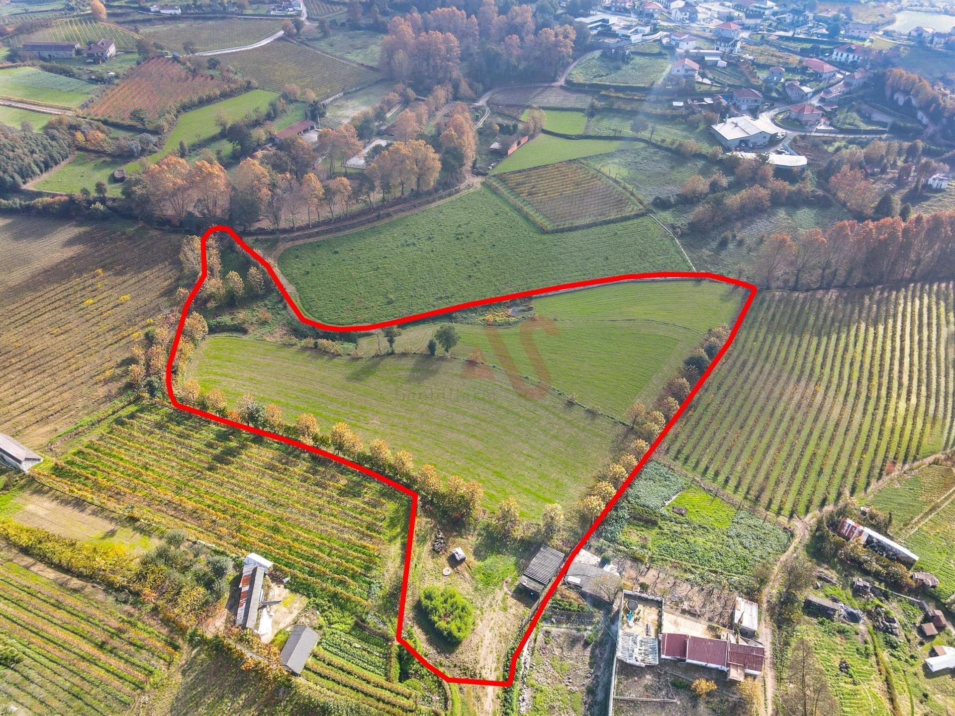 Terrenos Agrícolas com 13.513 m² em Pedreira, Rande e Sernande, Felgueiras