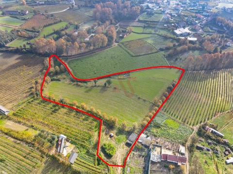 Terrenos Agrícolas com 13.513 m² em Pedreira, Rande e Sernande, Felgueiras