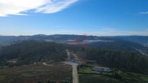Terreno com Potencial de Construção – Penacova, Felgueiras | 3.200 m²