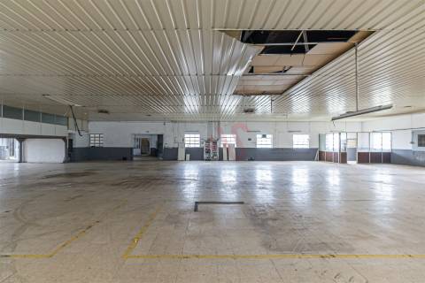 Armazém Industrial com Ampla Área de Terreno (2 Lotes Incluídos) - Regilde