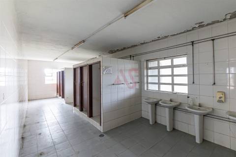 Armazém Industrial com Ampla Área de Terreno (2 Lotes Incluídos) - Regilde