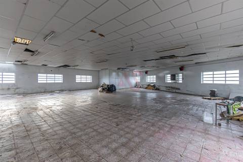 Armazém Industrial com Ampla Área de Terreno (2 Lotes Incluídos) - Regilde