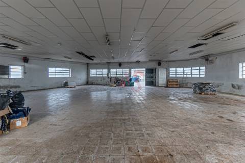 Armazém Industrial com Ampla Área de Terreno (2 Lotes Incluídos) - Regilde