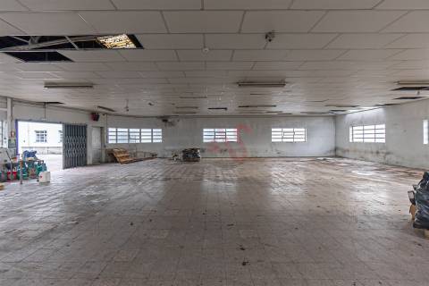 Armazém Industrial com Ampla Área de Terreno (2 Lotes Incluídos) - Regilde