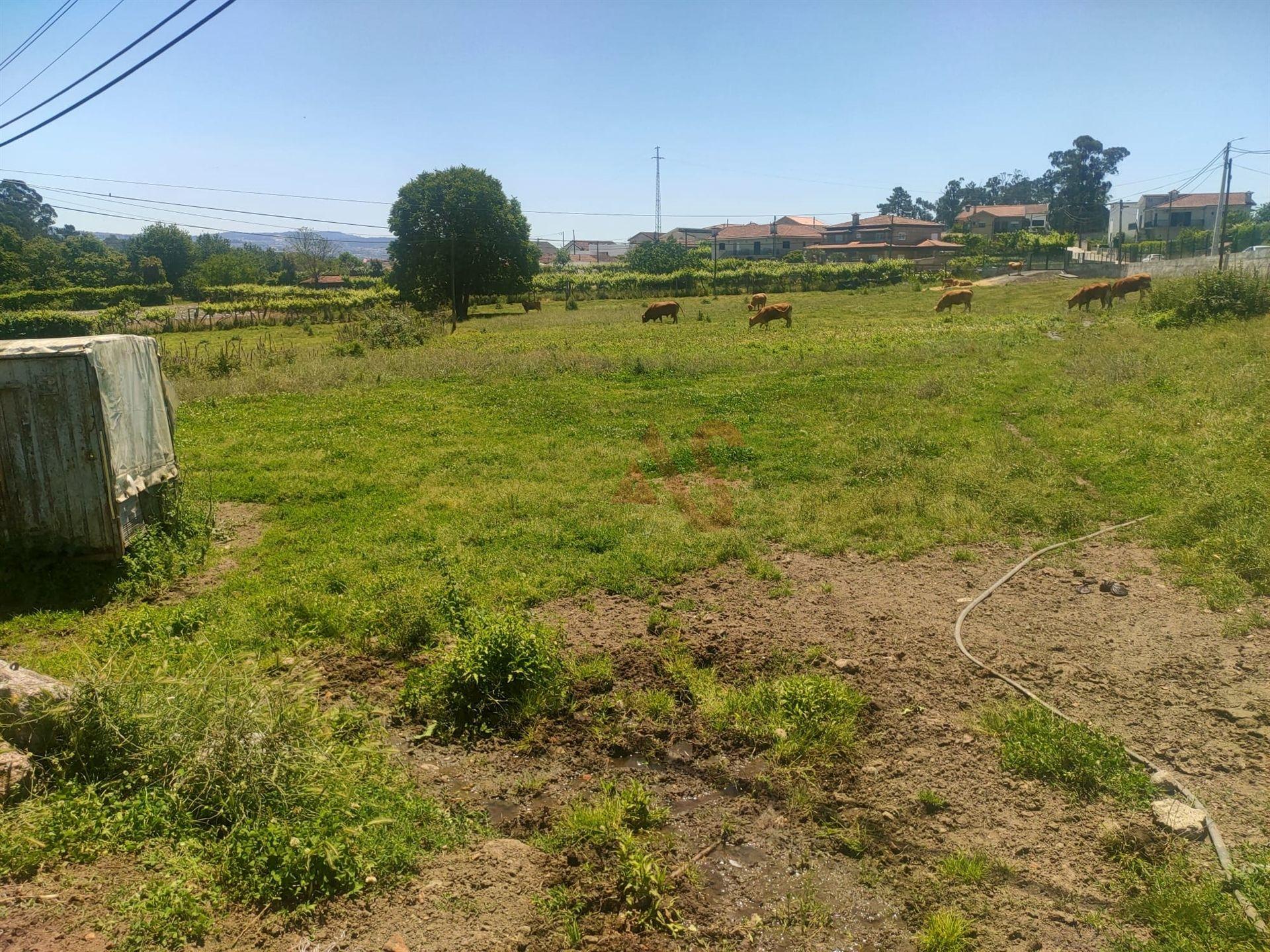 Quinta com 19000m2 dos quais 2000m2 Urbanizáveis, Composta por Moradia, Moinho e mais 5 em Lousada