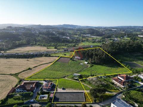 Terreno  Venda em Areias, Sequeiró, Lama e Palmeira,Santo Tirso