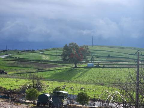 Moradia T3 com Vista Campo – Póvoa de São Miguel, Moura (Beja)
