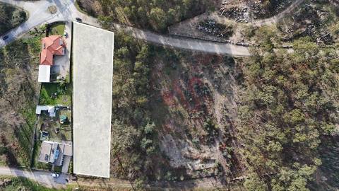 Terreno para Construção em Sanfins – 3.000 m² | Excelente Oportunidade