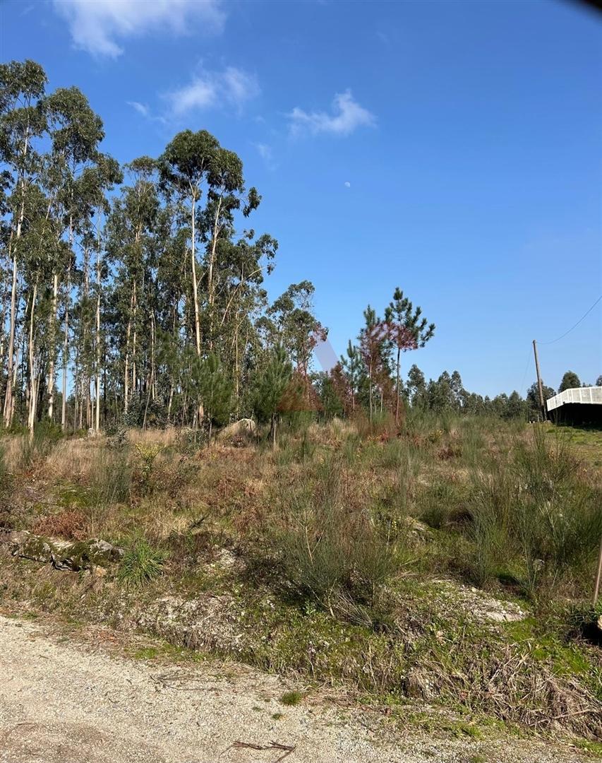 Terreno para Construção em Sanfins – 3.000 m² | Excelente Oportunidade