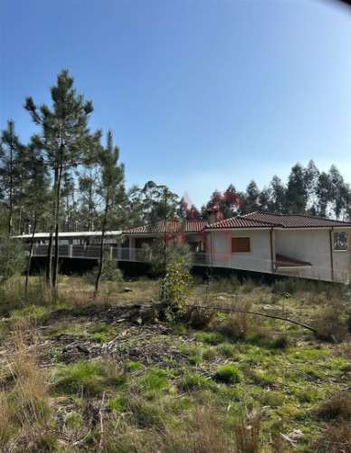 Terreno para Construção em Sanfins – 3.000 m² | Excelente Oportunidade