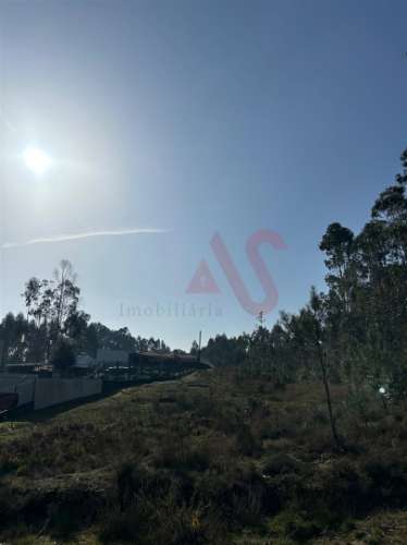 Terreno para Construção em Sanfins – 3.000 m² | Excelente Oportunidade