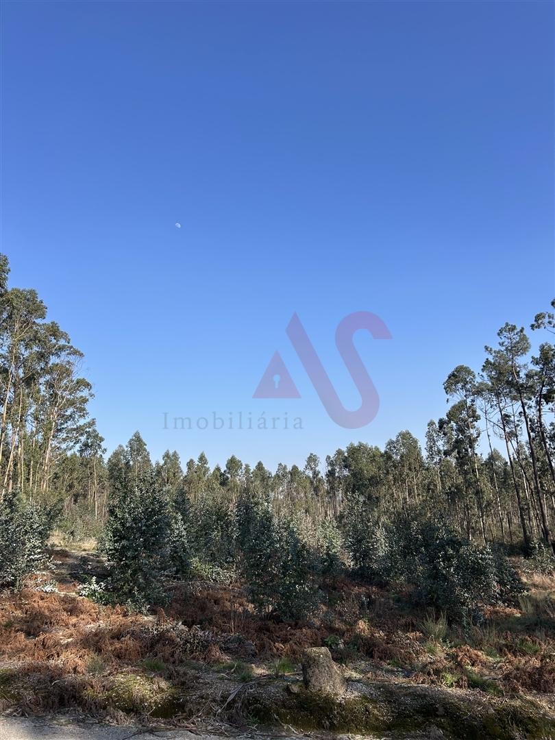 Terreno para Construção em Sanfins – 5.300 m² | Excelente Oportunidade