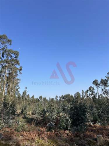 Terreno para Construção em Sanfins – 5.300 m² | Excelente Oportunidade