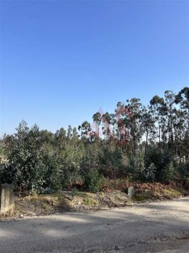 Terreno para Construção em Sanfins – 5.300 m² | Excelente Oportunidade