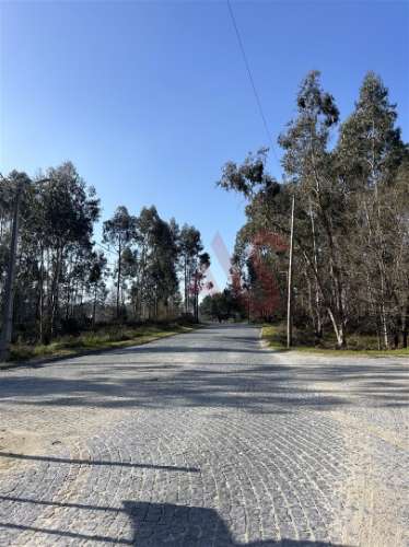 Terreno para Construção em Sanfins – 5.300 m² | Excelente Oportunidade