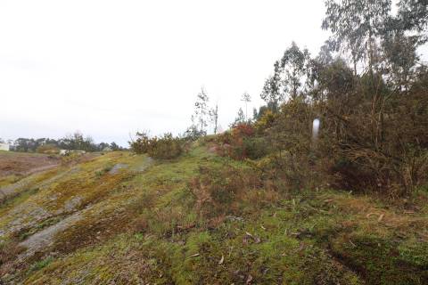 Moradia T4 para Restauro em Croca, Penafiel – Excelente Oportunidade de Investimento