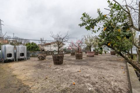 Restaurante + Moradia T3 + Terreno para Construção em Roriz, Santo Tirso