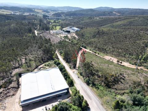 Lote Industrial  Venda em Campo e Sobrado,Valongo
