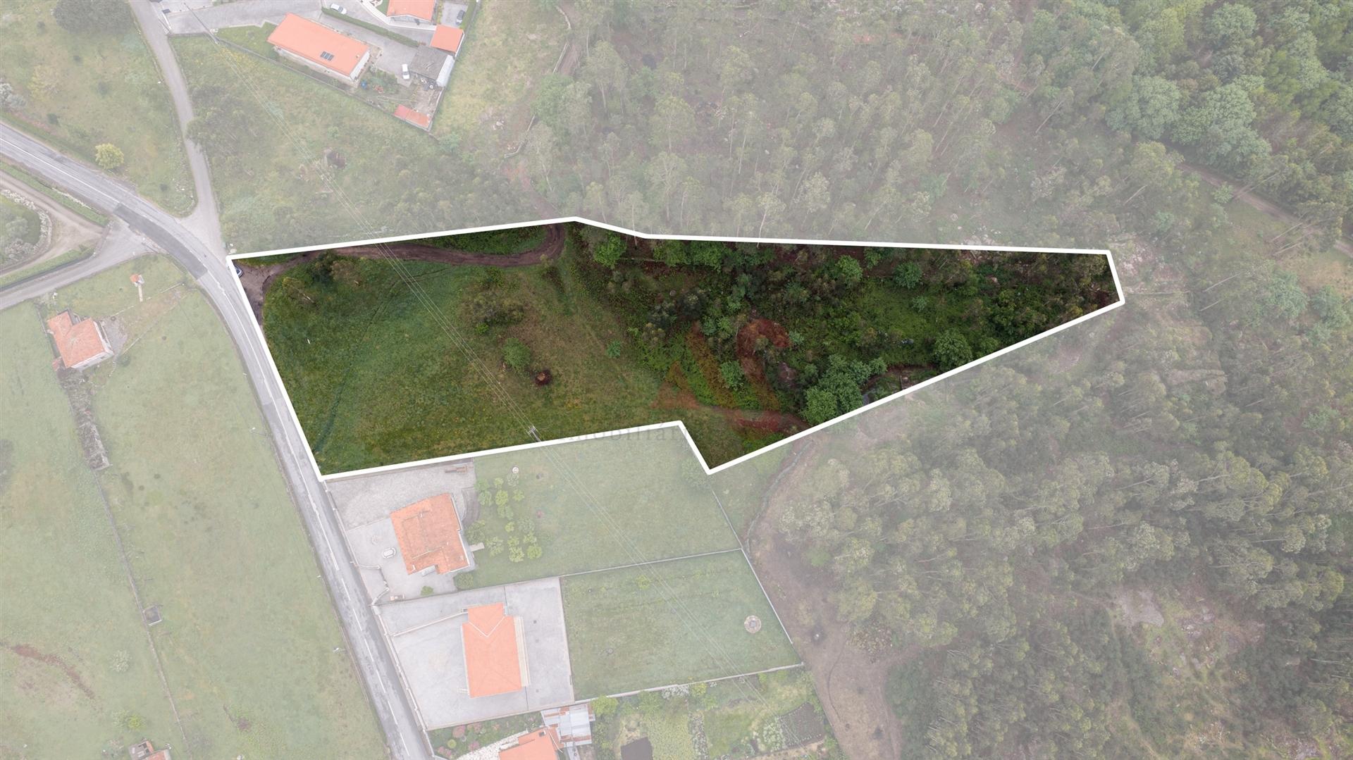 Terreno de 7153 m2 com Potencial de Construção em Monte Córdova – Santo Tirso