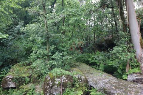 Moinho Transformado em T0 junto ao Rio – Refúgio na Natureza